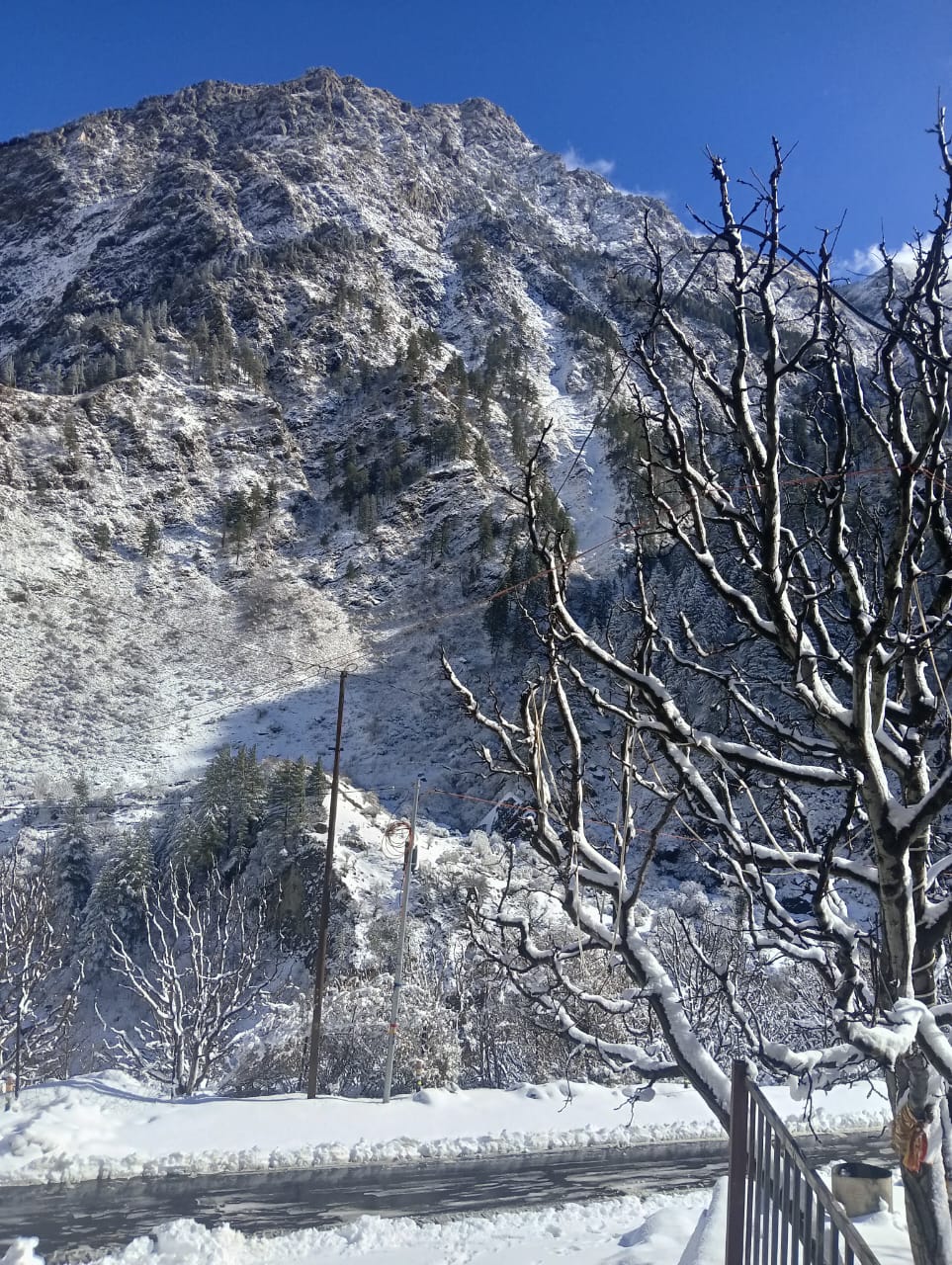 snowfall at harshil